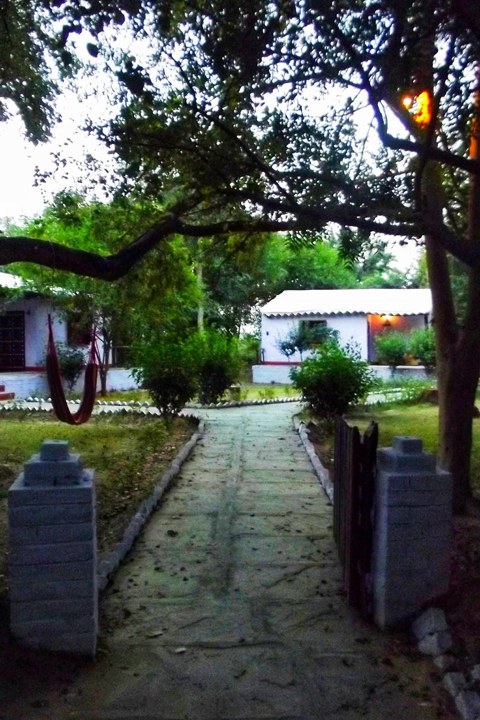 Photo of What is Inside the Forbidden Land of Chambal? by Swati Jain