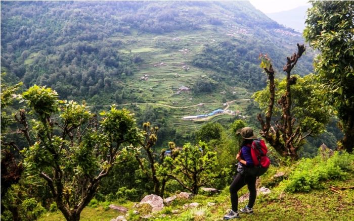 Photo of Peora: A Deep Nestled Secret of Uttarakhand by Swati Jain