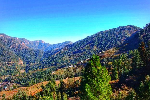 Photo of Peora: A Deep Nestled Secret of Uttarakhand by Swati Jain