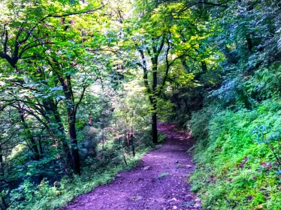 Photo of Neelkanth Mahadev Temple, Pauri Garhwal, Uttarakhand, India by Swati Jain