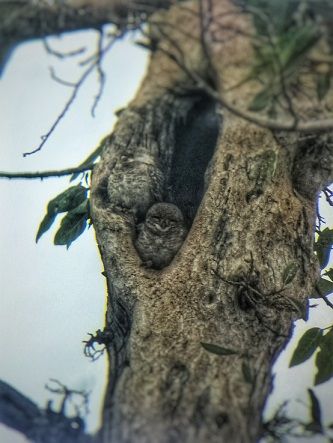 Photo of Another Reason to Visit Pench National Park and It’s Not the Tigers! by Swati Jain