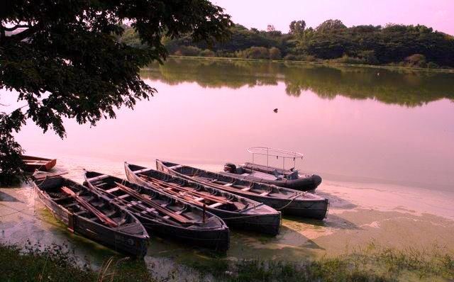 Photo of Kukkarahalli Lake, Kukkarahalli, Saraswathipuram, Mysuru, Karnataka by Swati Jain