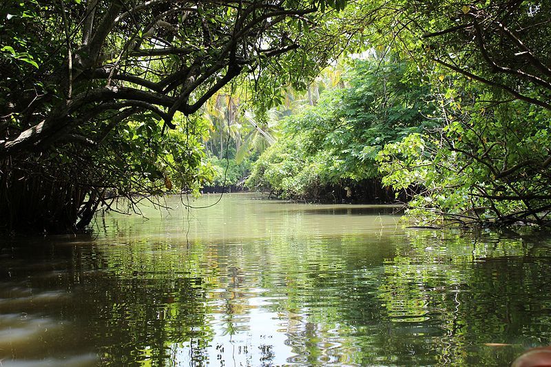 Photo of These Photos Prove that Jharkhand is Truly an Underrated Tourist Destination 1/1 by Swati Jain