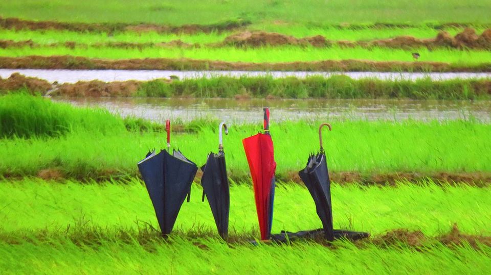 Photo of These Photos Prove that Jharkhand is Truly an Underrated Tourist Destination by Swati Jain