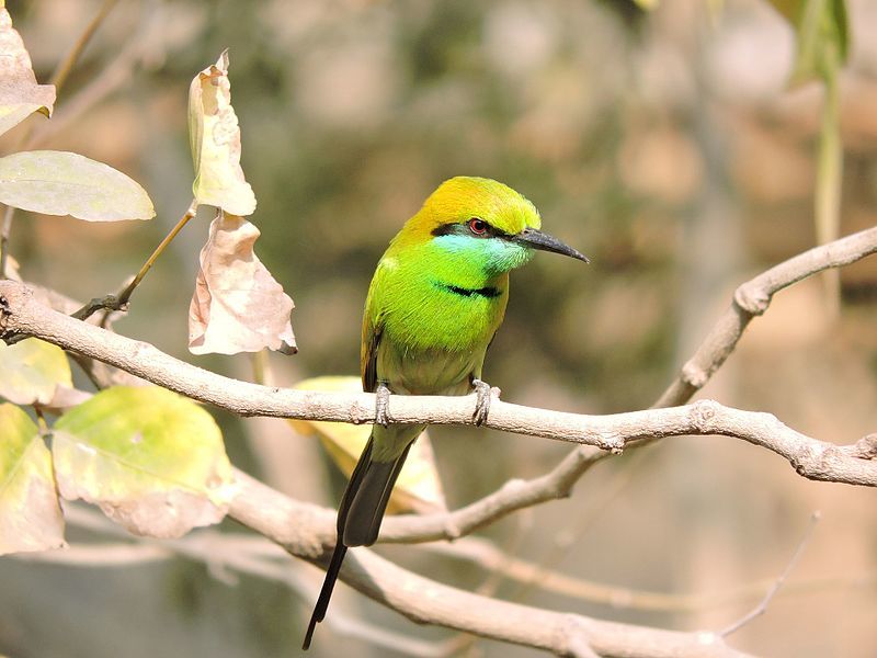 Photo of These Photos Prove that Jharkhand is Truly an Underrated Tourist Destination by Swati Jain