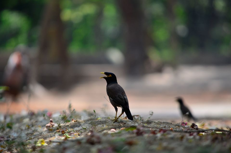 Photo of These Photos Prove that Jharkhand is Truly an Underrated Tourist Destination by Swati Jain