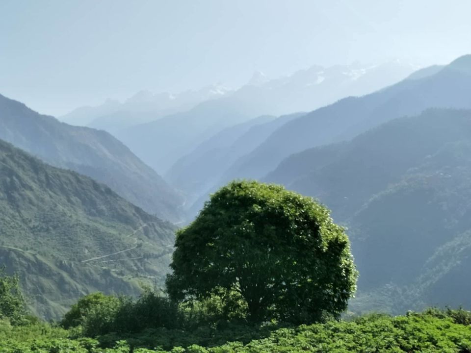 Photo of Raithal- A Sustainable Village of Uttarakhand 1/8 by Swati Jain