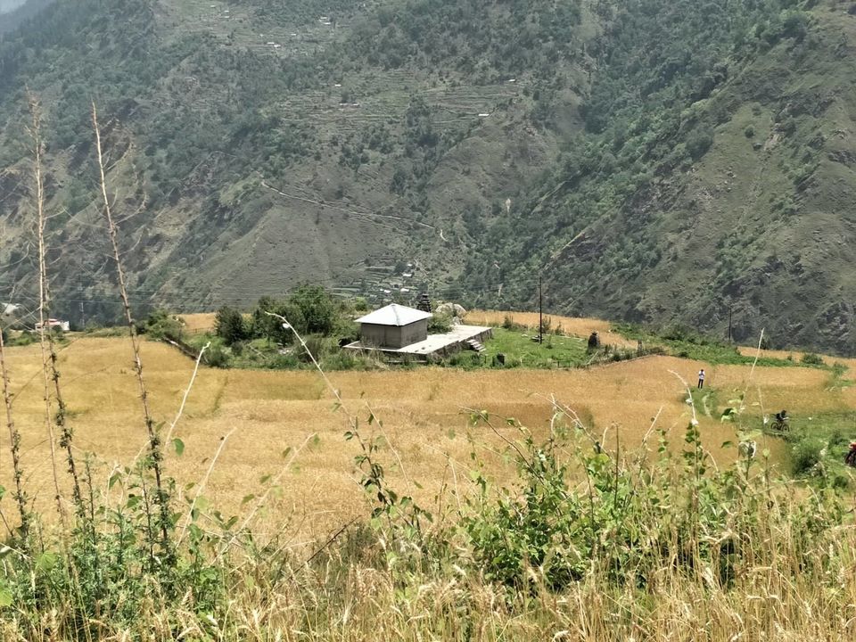Photo of Raithal- A Sustainable Village of Uttarakhand 7/8 by Swati Jain