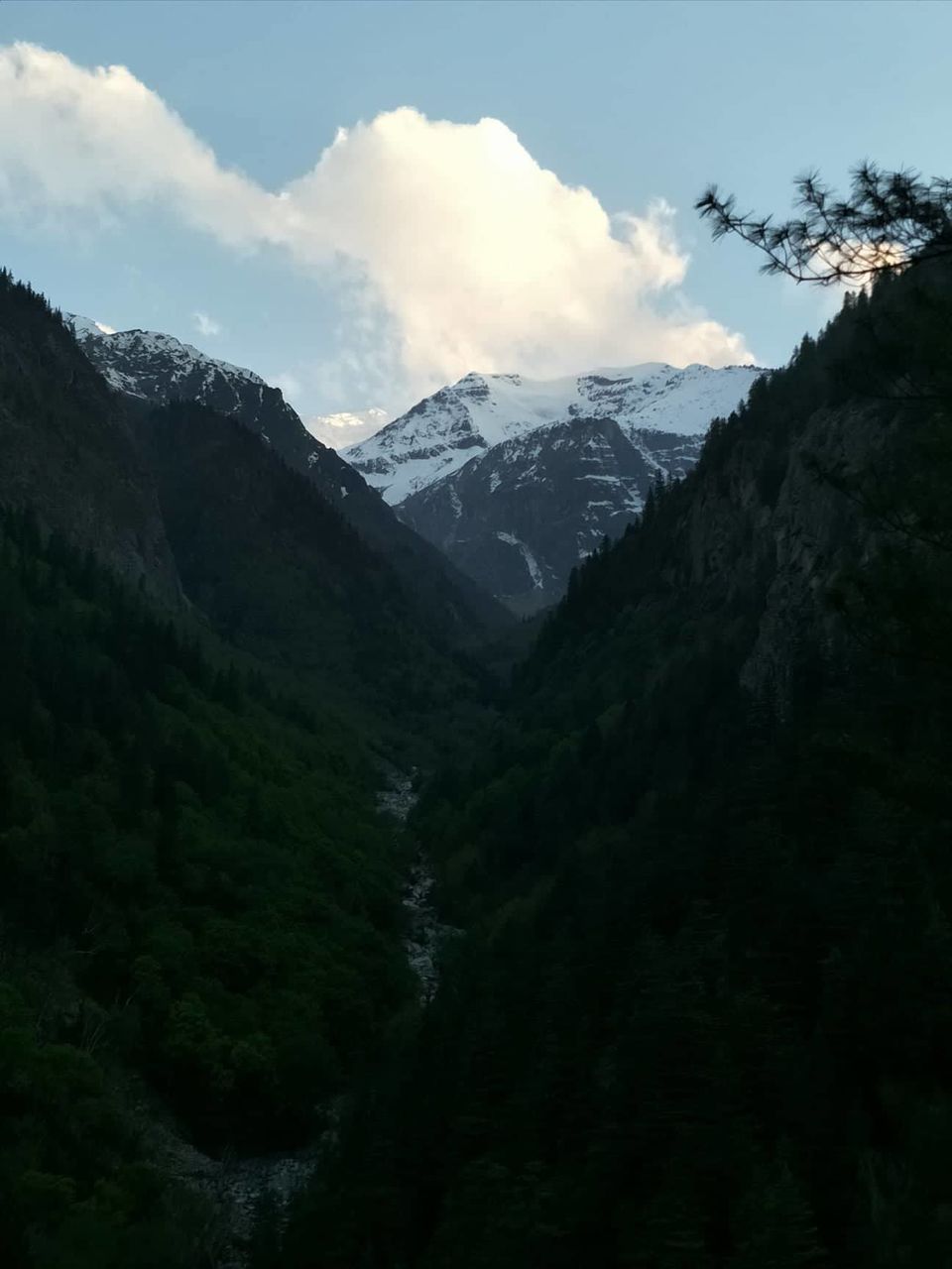 Photo of Ganga Valley Beyond Gangotri by Swati Jain