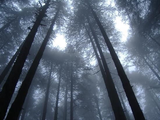 Photo of Kannatal: Explore the inner self amidst the beauty 6/6 by Swati Jain