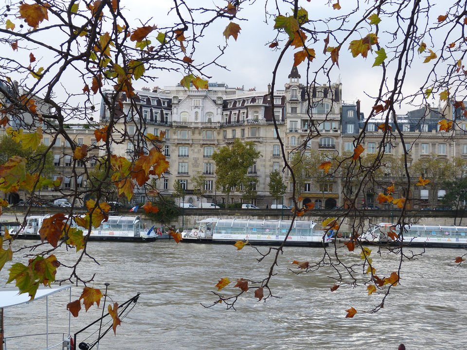 Photo of Paris in Winters 3/12 by Stefania