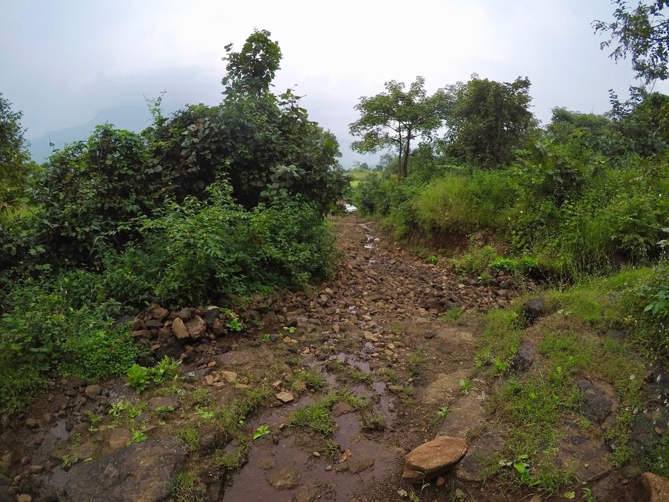Photo of Sondewadi, Maharashtra, India by Nakula Bhutad