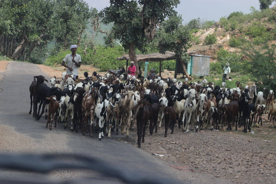 Photo of Too scared to visit Bhangarh? Read this 2/16 by Siddharth Juneja