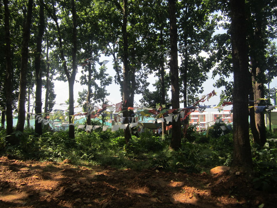 Photo of Balbhadra Khalanga Dwar Nalapani, Tapovan Ashram Road, Raipur, Dehradun, Uttarakhand, India by Pooja