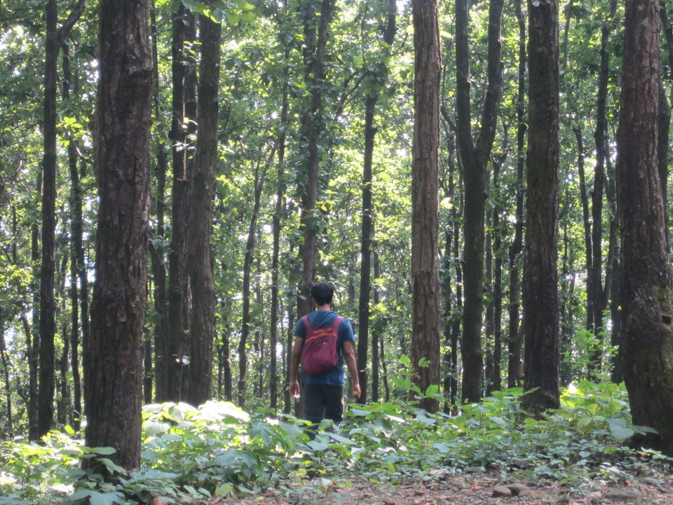 Photo of Balbhadra Khalanga Dwar Nalapani, Tapovan Ashram Road, Raipur, Dehradun, Uttarakhand, India by Pooja