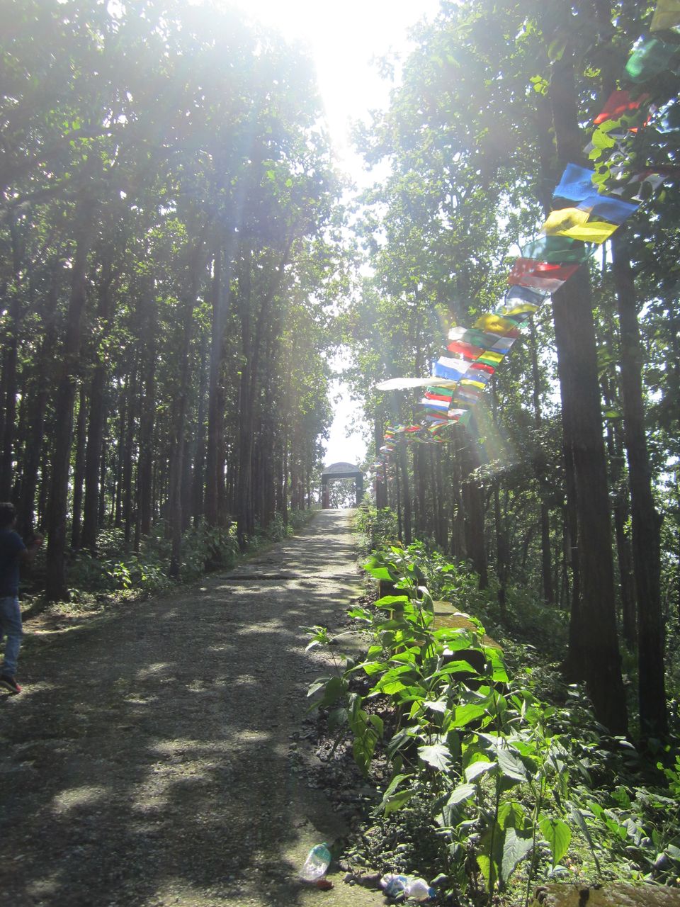 Photo of Balbhadra Khalanga Dwar Nalapani, Tapovan Ashram Road, Raipur, Dehradun, Uttarakhand, India by Pooja