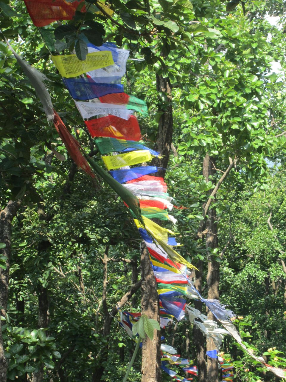 Photo of Balbhadra Khalanga Dwar Nalapani, Tapovan Ashram Road, Raipur, Dehradun, Uttarakhand, India by Pooja