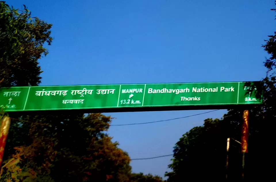 Photo of Bandhavgarh National Park, Tala, Madhya Pradesh, India by Pooja