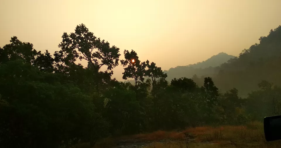Photo of Bandhavgarh National Park, Tala, Madhya Pradesh, India by Pooja