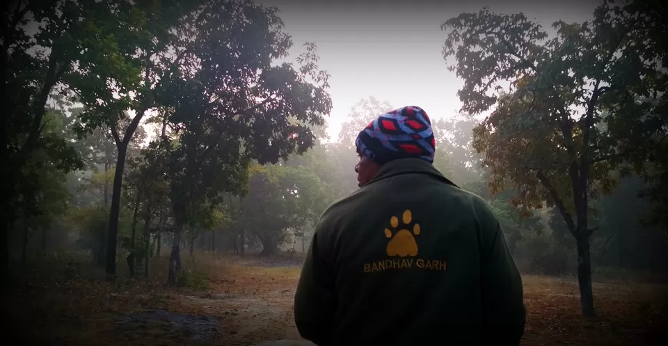 Photo of Bandhavgarh National Park, Tala, Madhya Pradesh, India by Pooja