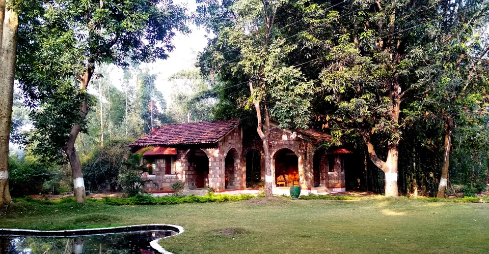 Photo of Mogli Jungle Resort, Bandhavgarh, Madhya Pradesh, India by Pooja