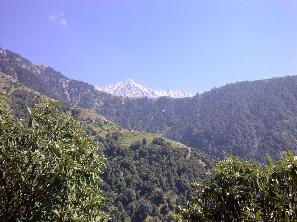 Photo of Mcleodganj, Dharamshala 3/5 by Garima Sharma