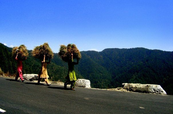 Photo of Shimla - The Queen of the Hills 8/11 by Garima Sharma