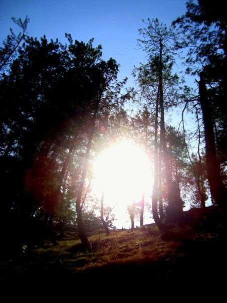 Photo of Narkanda - That's where the Travel Bug bit me ;) 1/9 by Garima Sharma