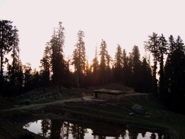 Photo of Narkanda - That's where the Travel Bug bit me ;) 4/9 by Garima Sharma