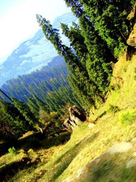 Photo of Narkanda - That's where the Travel Bug bit me ;) 7/9 by Garima Sharma
