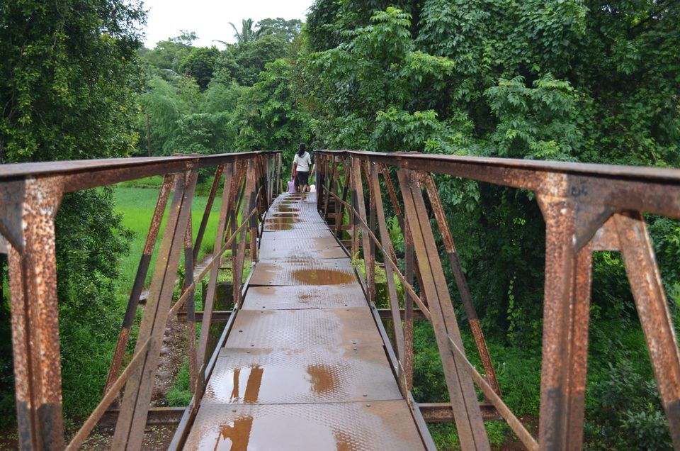 Photo of Majestic Konkan 11/11 by WayfarerWoman