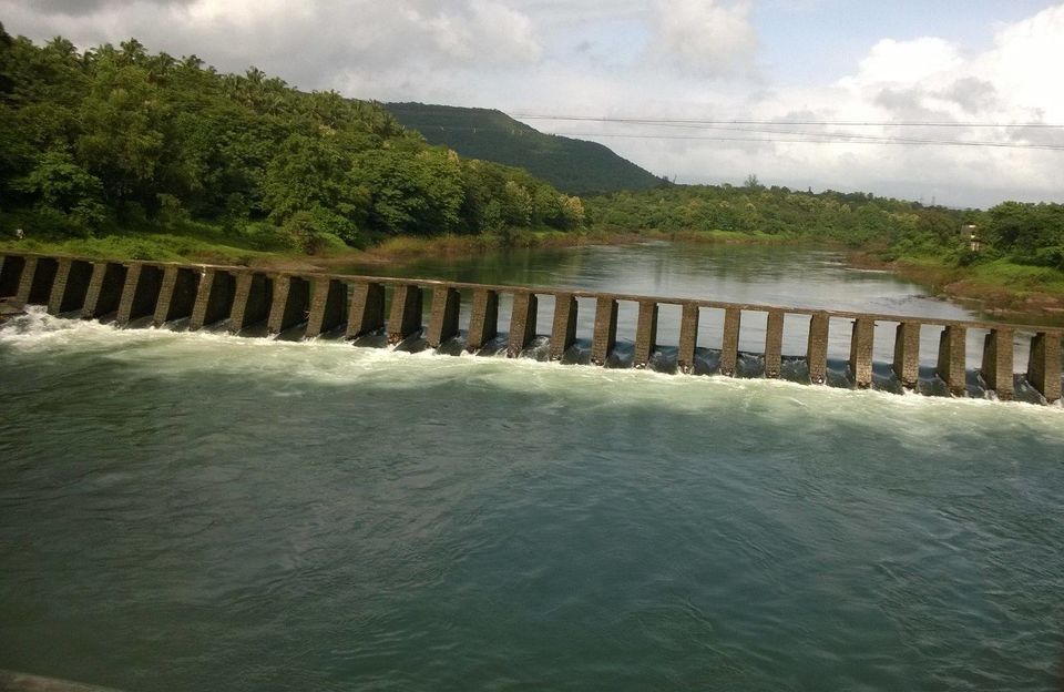 Photo of Majestic Konkan 3/11 by WayfarerWoman