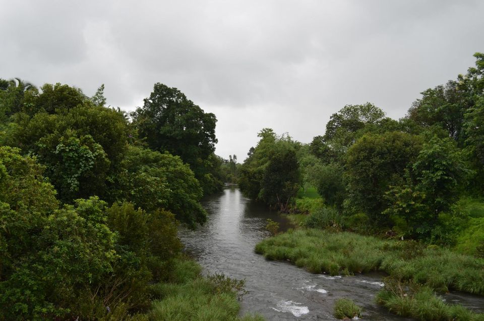 Photo of Majestic Konkan 4/11 by WayfarerWoman