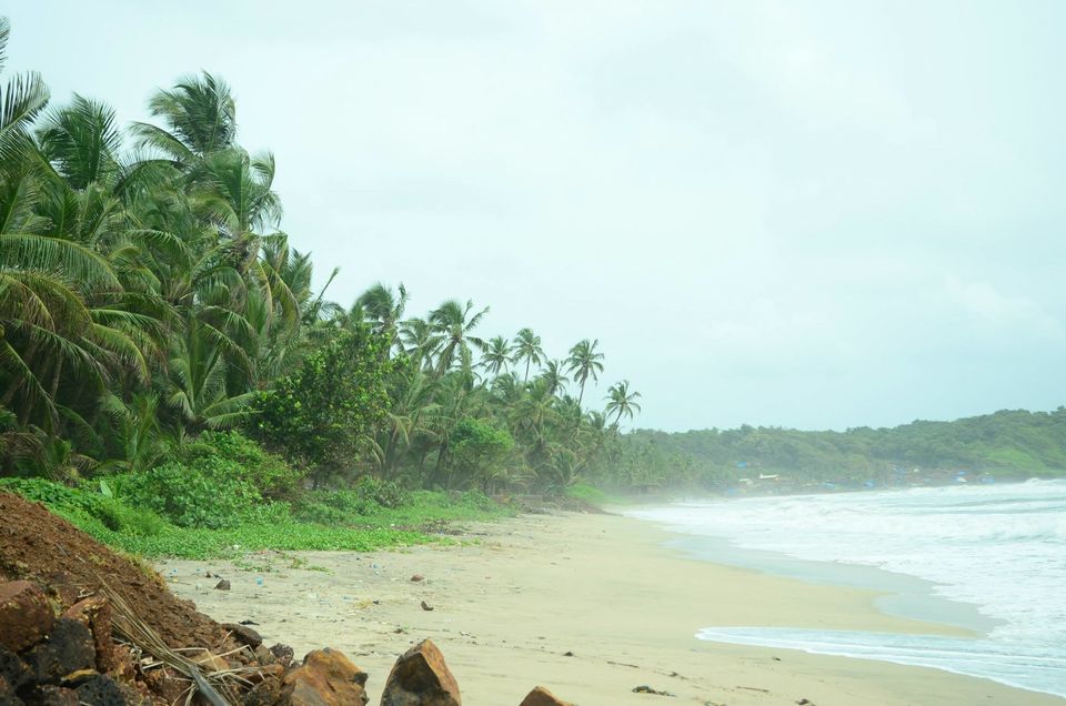 Photo of Majestic Konkan 5/11 by WayfarerWoman
