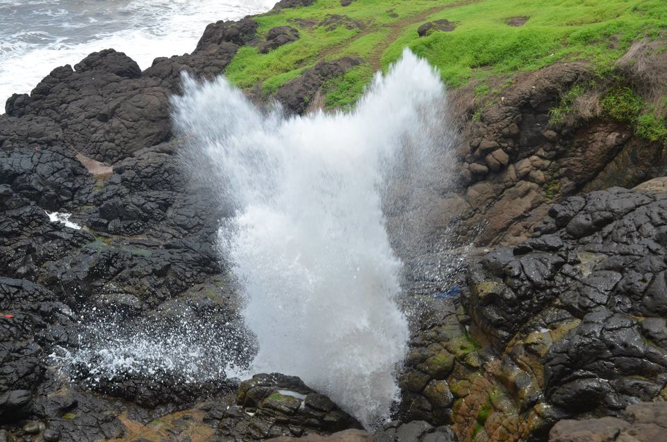 Photo of Majestic Konkan 7/11 by WayfarerWoman