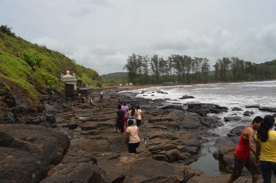 Photo of Majestic Konkan 8/11 by WayfarerWoman