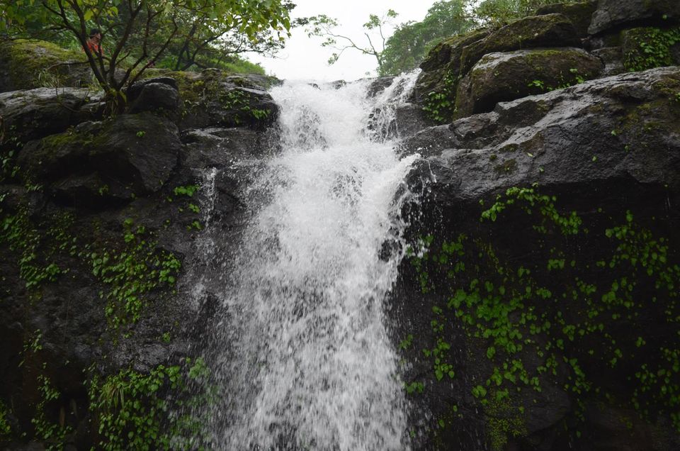 Photo of Malshej Ghat 5/9 by WayfarerWoman