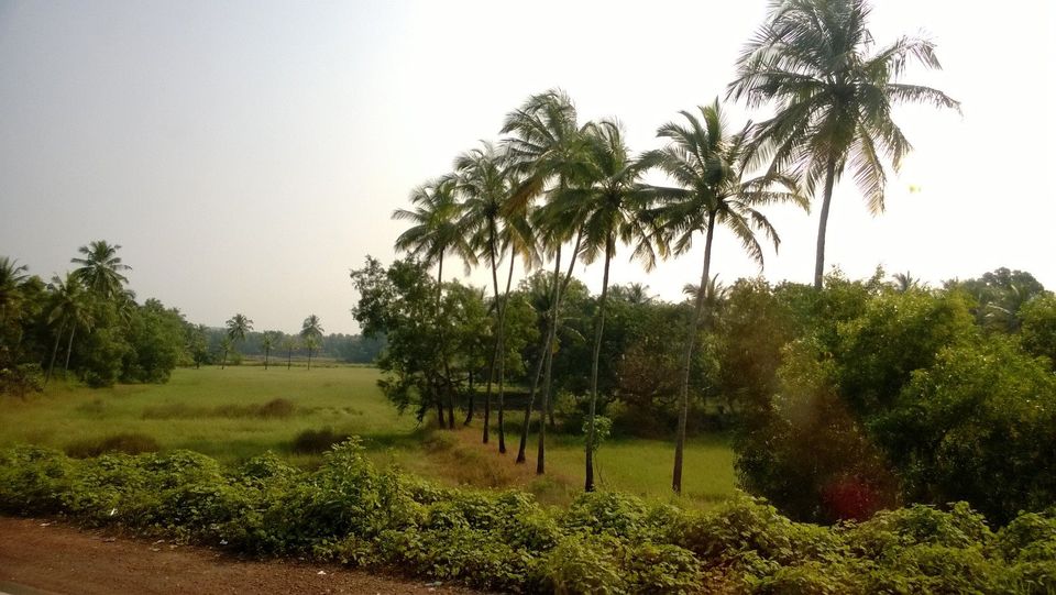 Photo of Goan Love 7/17 by WayfarerWoman