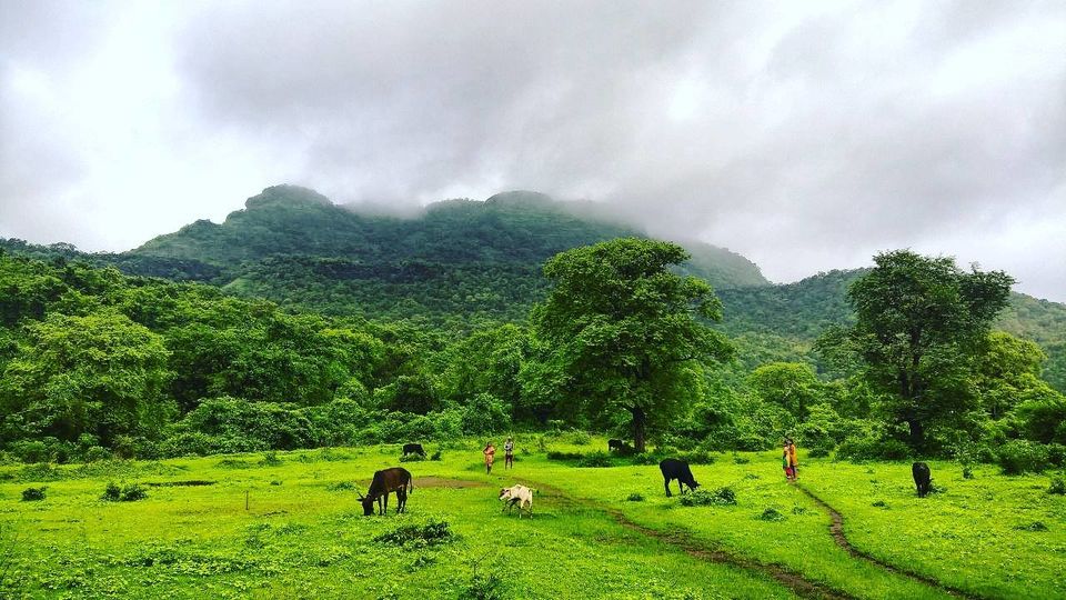 Photo of Tandulwadi Fort 2/6 by WayfarerWoman