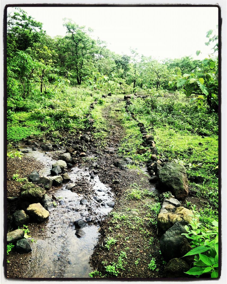 Photo of Tandulwadi Fort 3/6 by WayfarerWoman