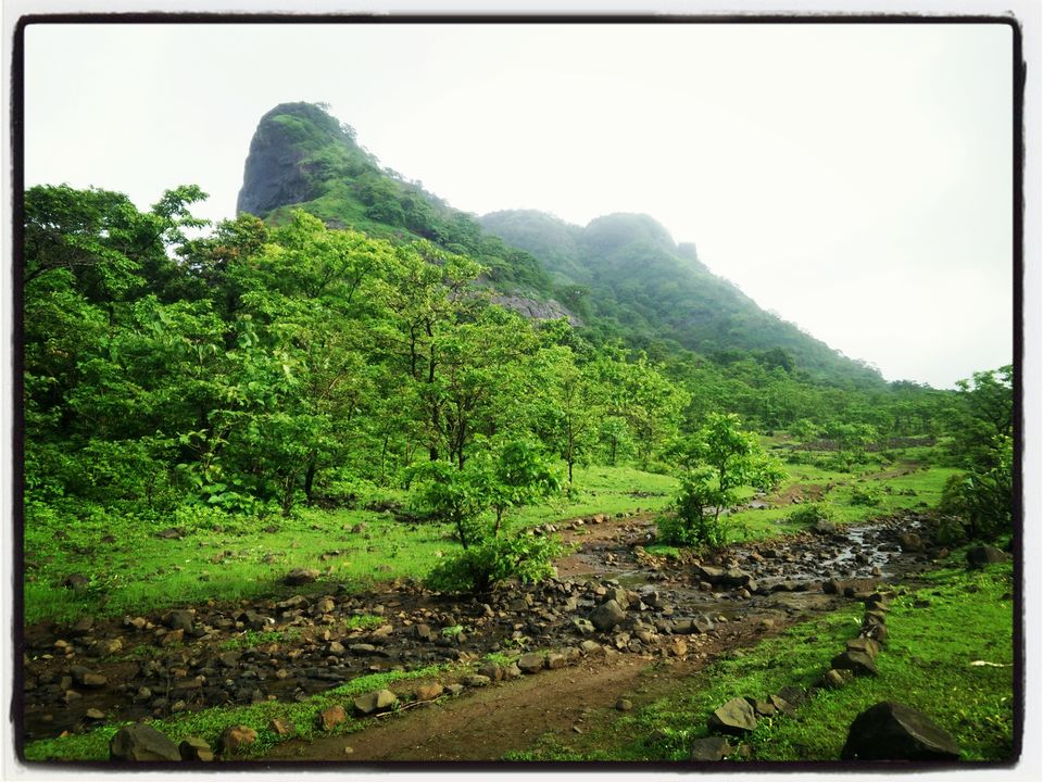 Photo of Tandulwadi Fort 5/6 by WayfarerWoman