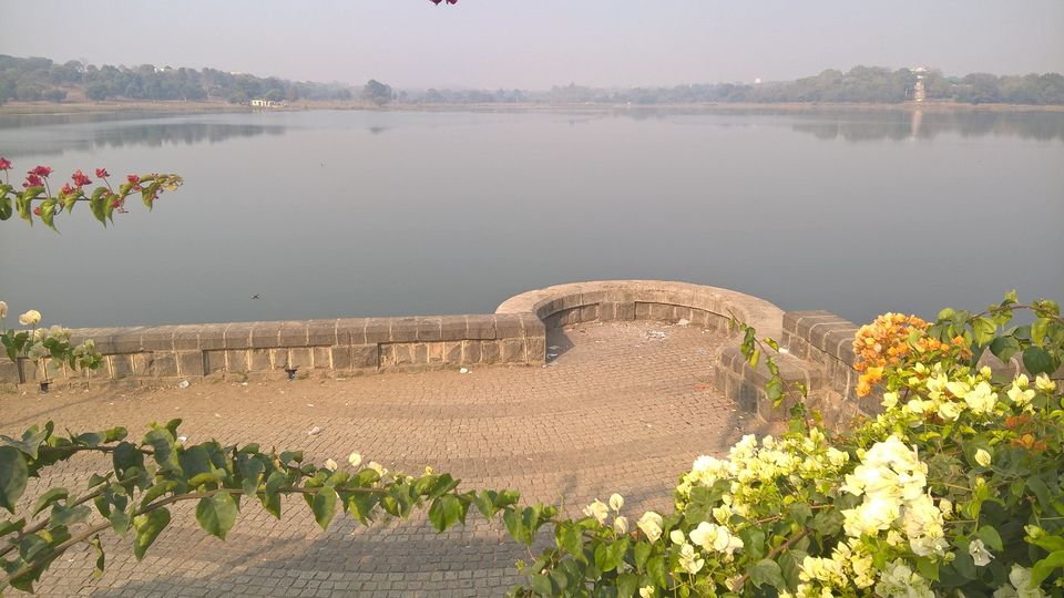 Photo of Nagpur diaries 5/19 by WayfarerWoman