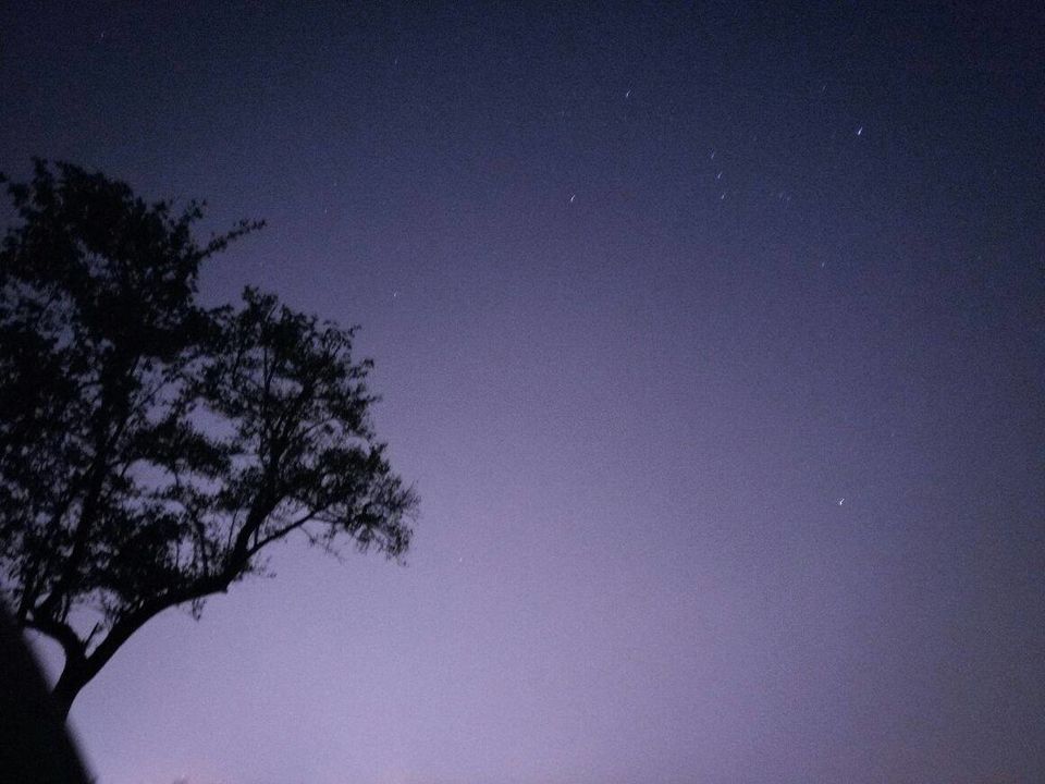 Photo of NIGHT TREK INTO THE WOODS 2/15 by WayfarerWoman