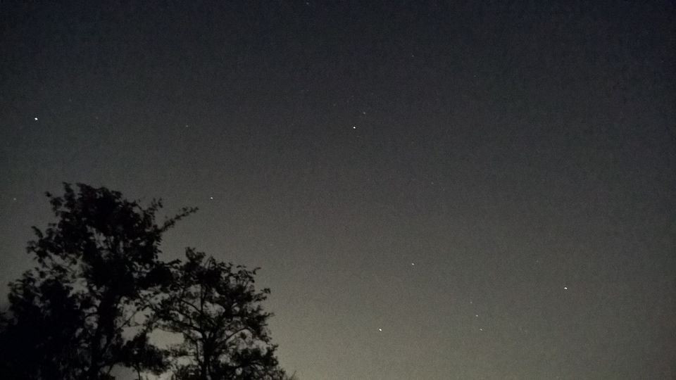 Photo of NIGHT TREK INTO THE WOODS 7/15 by WayfarerWoman