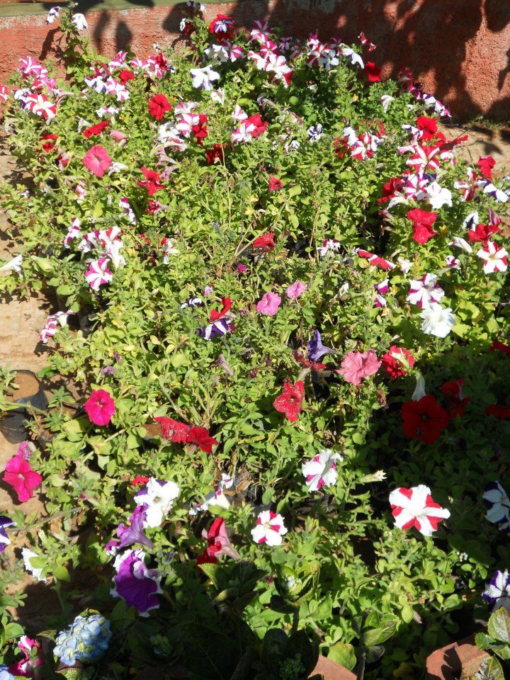 Photo of Mahabali Mahabaleshwar 5/11 by WayfarerWoman