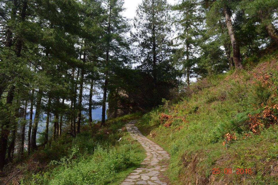 Photo of Bhutan by Nilz