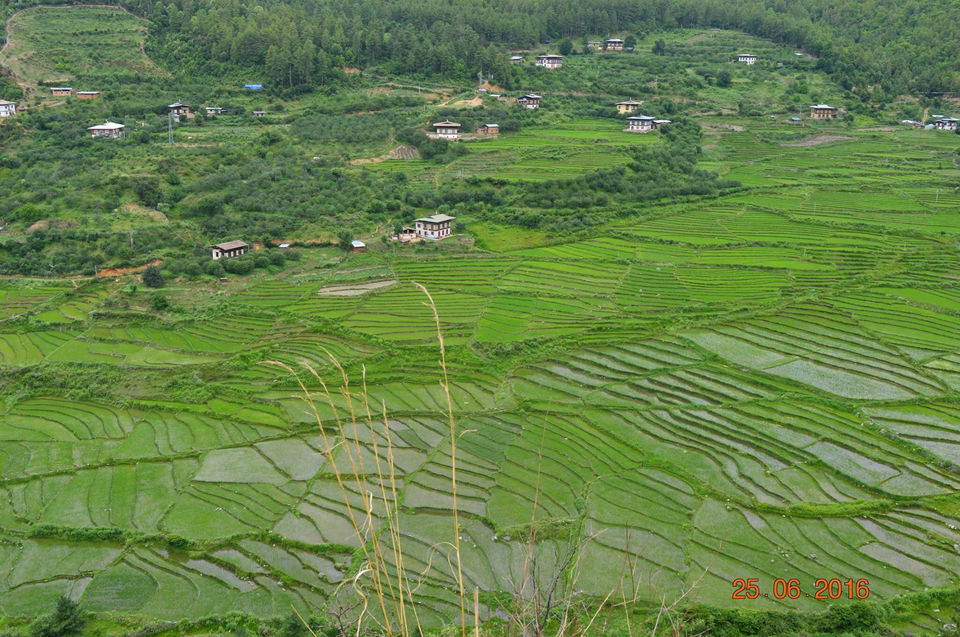 Photo of Bhutan by Nilz