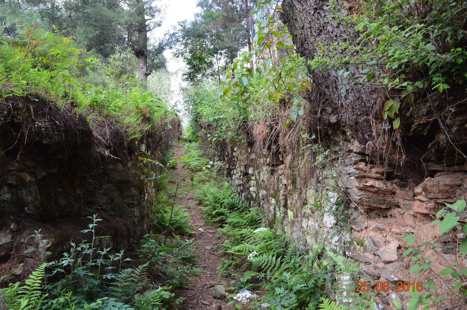 Photo of Bhutan by Nilz