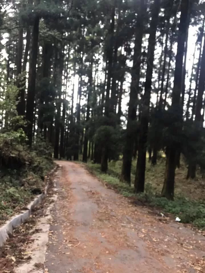 Photo of Kurseong, West Bengal, India by Nilz