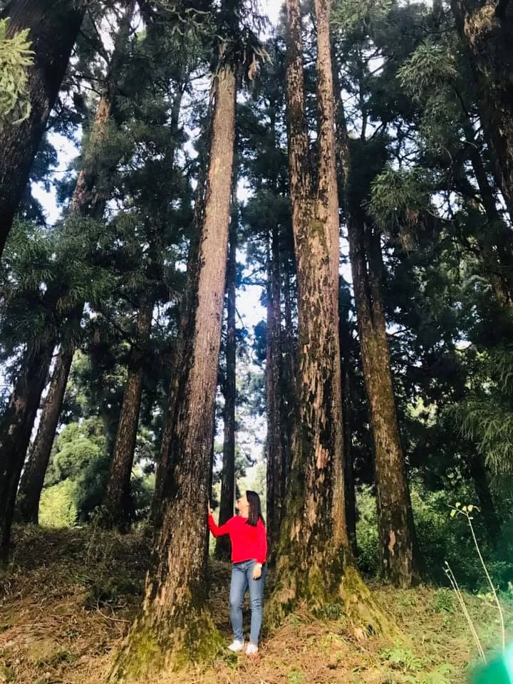 Photo of Kurseong, West Bengal, India by Nilz